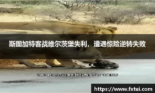 bsports官方网站