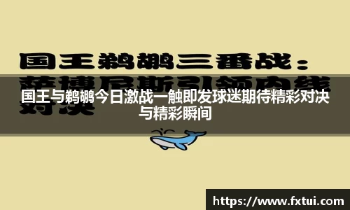 必一bsports