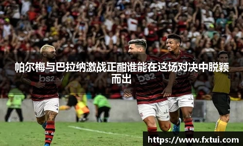 必一bsports