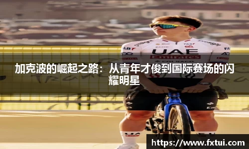bsports官方网站