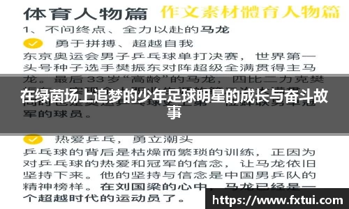 必一bsports
